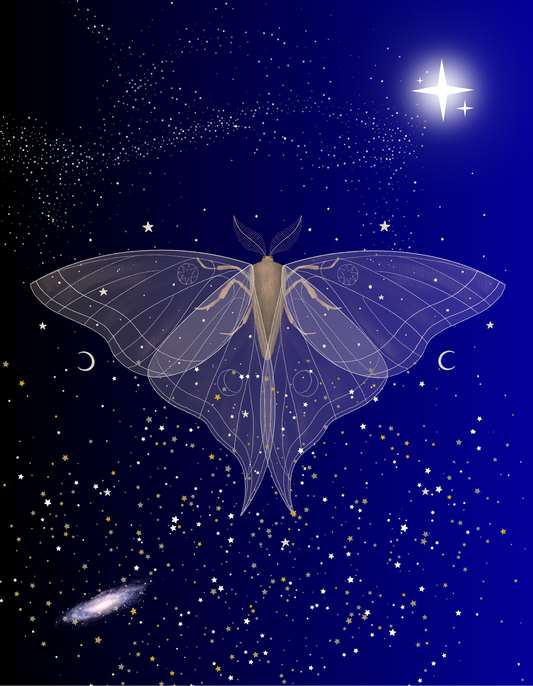 Moth Fantasy Book-Inspired Art Print