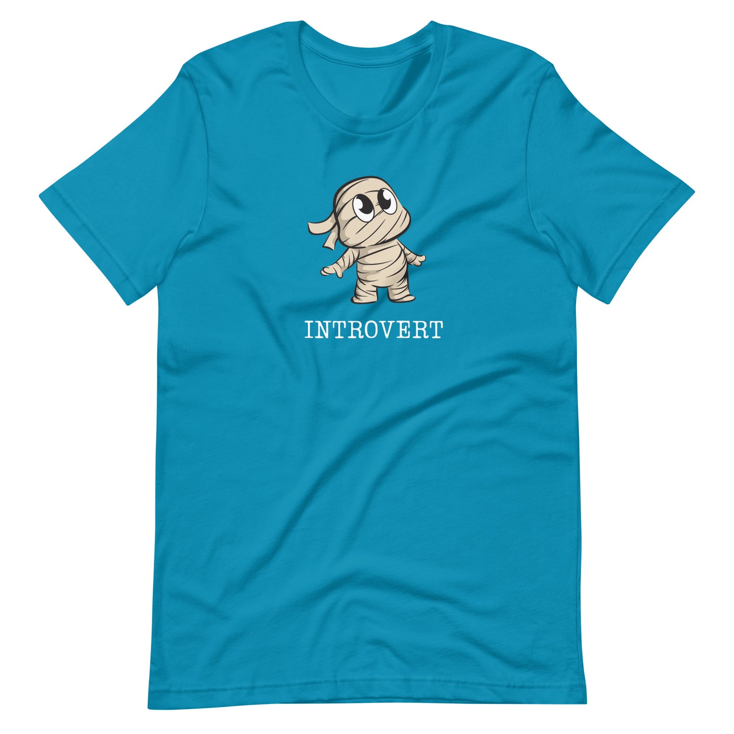 Introvert Unisex t-shirt