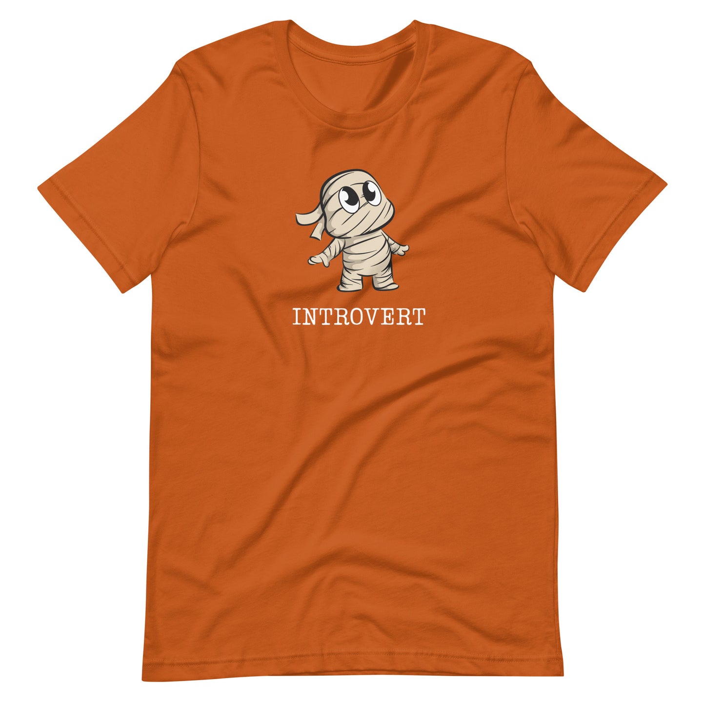 Introvert Unisex t-shirt